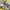 Scholler Gorpcore Sportswear Windbreaker Pria yellow photo 8