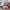Dickies Skater Hoody Pria multicolor photo 5