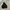 Champion Casual Hoody Pria black photo 1
