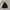 Champion Casual Hoody Pria black photo 1