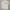 Prada Luxury Minimalist Polo shirt Pria white photo 1