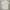 Prada Luxury Minimalist Polo Shirt Pria White