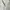Prada Luxury Minimalist Polo shirt Pria white photo 3