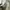 Prada Luxury Minimalist Polo shirt Pria white photo 4