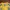 Vintage Sportswear Jersey Pria yellow photo 4
