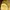 Vintage Sportswear Jersey Pria yellow photo 5