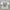Vintage Y2K T-shirt Pria white photo 1