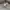 Salomon Vintage Y2K Hoody Pria gray photo 3
