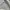 Salomon Vintage Y2K Hoody Pria gray photo 6