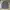 Streetwear Casual Formal shirt Pria gray photo 1