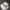 Japanese Brand Vintage Sportswear Hat Pria Tan