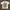 Made in USA Vintage Y2K T-shirt Pria white photo 1
