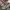 Emba Avant Garde Futurist Suit Pria khaki photo 2