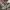 Emba Avant Garde Futurist Suit Pria Khaki