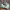 Nike Casual Sneakers Pria green photo 2