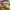 Converse Streetwear Casual Hat Pria yellow photo 4