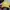 Converse Streetwear Casual Hat Pria yellow photo 2