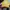 Converse Streetwear Casual Hat Pria yellow photo 1