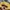 Converse Streetwear Casual Hat Pria yellow photo 5