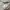 Marni Luxury Casual Formal shirt Pria khaki photo 3