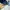 Russell Athletic Streetwear Sweater Pria navy cream photo 4