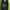 MLB Casual Hat Pria Black