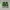 New Balance Casual Sneakers Pria green gray photo 3