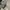 New Balance Streetwear Gorpcore Sneakers Pria white photo 4