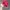 Japanese brand Skater Casual Hat Pria red photo 2