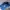 MLB Skater Casual Hat Pria blue photo 2