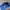 MLB Skater Casual Hat Pria Blue