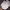 Japanese brand Indie Casual Hat Pria white photo 2