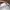 Japanese brand Vintage Skater Hat Pria white navy photo 4