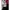 Ben Davis Streetwear Hoody Pria black photo 4
