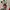 Spao Streetwear Y2K Shirt Wanita White Red