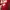 Nike Sportswear Jersey Pria red photo 7