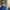 Adidas Sportswear Jersey Pria blue photo 7