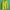 Guess Casual Hoody Pria green photo 2
