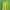 Guess Casual Hoody Pria Green