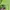 Guess Casual Hoody Pria green photo 8