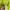 Guess Casual Hoody Pria green photo 7
