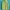 Guess Casual Hoody Pria green photo 3