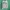 Guess Casual Harrington jacket Pria white photo 2
