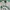 Guess Casual Harrington jacket Pria white photo 3