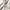 IAB Studio Casual T-shirt Pria white photo 5