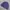 Crocodile Vintage Casual Windbreaker Pria purple photo 1
