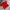 Casual T-shirt Pria red photo 4