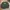 Streetwear Y2K Sweater Pria green photo 1