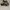 Adidas Casual Sneakers Pria white black photo 1