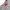 Supreme Casual Sweatshirt Pria gray photo 5